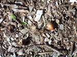 BlueMounds_99