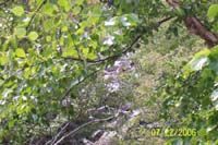 DevilLake3
