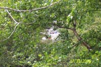 DevilLake4