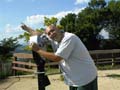 DSC00041