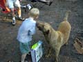 DSC00017
