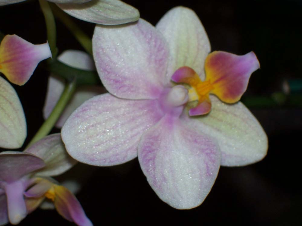 100_0434