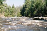 Mellen_06_027