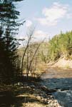 Mellen_06_029