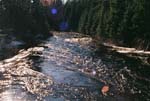 Mellen_06_040